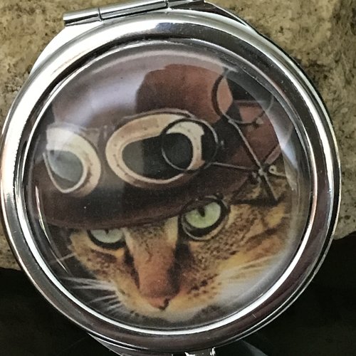 Miroir Chat Style Steampunk Un Grand Marche