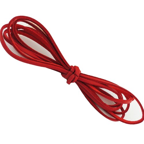 Lot de 2 mètres de cordon suédine rouge, velours, imitation cuir