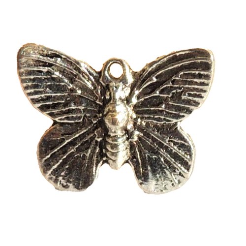 Lot de 30 breloques argentées papillon 19 x 14 mm