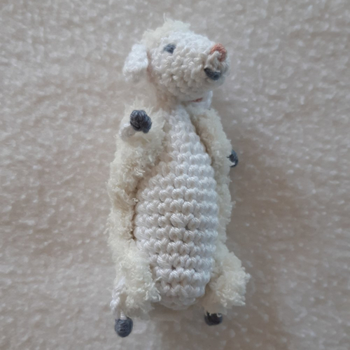 Petit mouton et sa doudoune.