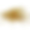 Tiges clous tête ronde œil dorés 30 mm x100