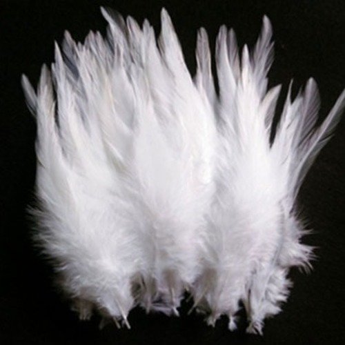 Plumes longues blanches