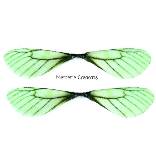 X 2 ailes libellule papillon organza vert clair