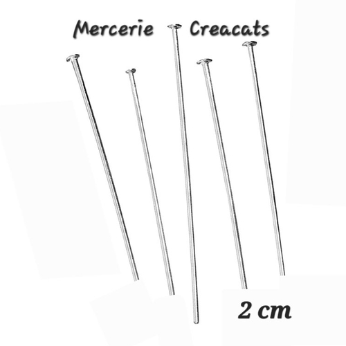 X 20 tiges clous tête plate 2 cm  acier inoxydable argenté