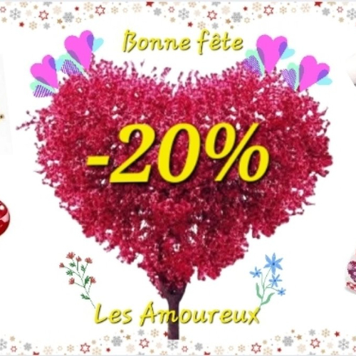 - 20% sur toute la boutique - bonne fête les amoureux