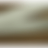 Ruban elastique velours blanc ,20 mm