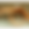 Fermeture invisible abricot ,50 cm, de belle qualité