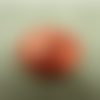 Bouton ovale acrylique à 2 trou rouge,largeur: 28 mm / hauteur: 22 mm