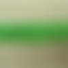 Ruban frange polyester viscose vert,5 cm,super tendance