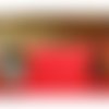 Ruban pompon multicolore,5 cm et largeur total avec pompon 9 cm