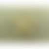 Ecusson thermocollant etoile beige, largeur 5,5 cm sur hauteur 5cm