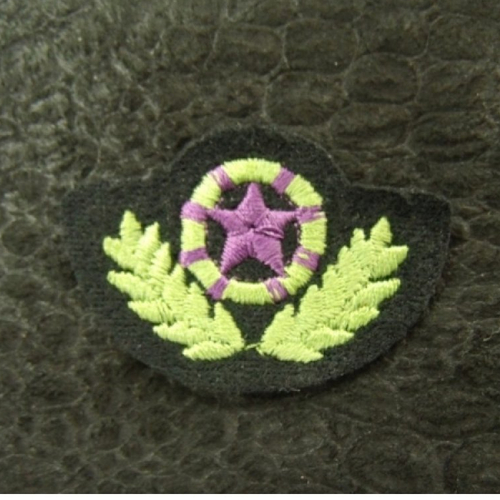 Ecusson thermocollant- militaire etoile & palme vert et violet sur fond noir ,largeur 4,5 cm / hauteur 3 cm
