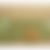 Dentelle de calais avec fleurs en 3d sur fond vert garni de perles et strass, 6 cm