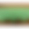 Broderie anglaise coton vert,4 cm