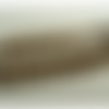 Ruban bicolore sur fond doré et marron,15 mm