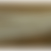 Ruban brodé sur tulle blanc cassé ,13 mm