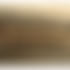 Ruban brodé avec lurex marron, or & noir, 60 mm