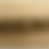 Ruban brodé velours marron avec strass et perlé, 25 mm