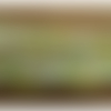 Ruban brodé coton vert et jaune multicolore, 100% de fabrication française, 30 mm
