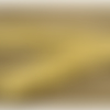 Ruban paillette scintillante beige gold, 2 cm