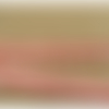 Ruban / biais passepoil vichy coton rouge & blanc,1 cm