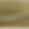 Ruban passepoil polyester doré fripé ,1 cm