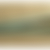 Ruban simili cuir / skai replié cousu vert,1 cm
