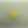 Bouton acrylique jaune à 2 trous,14 mm,vendu par 6