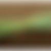 Galon pailleté scintillante polyester vert,13 mm, très souple