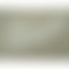 Incrustation brodée blanc ,longueur: 21cm sur largeur: 9cm