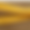 Ruban avec deux bandes velours jaune moutarde ,25 mm