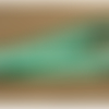 Ruban sangle polyester vert et blanc ,2 cm, vendu par 5 metres à 1,00€