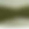 Sangle polyester laniere vert kaki ,2.5 cm