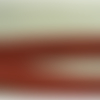 Sangle polyester laniere bordeaux ,3 cm