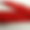 Ruban avec deux bandes velours rouge, 25 mm