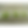 Ruban fantaisie motif fleur vert et blanc,2 cm