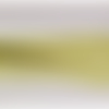 Nouveau ruban vichy à carreau vert anis ,2 cm