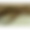 Fermeture a glissière marron,55 cm