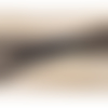 Ruban passepoil avec chainette doré sur tulle noir,  largeur total 2 cm