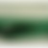 Lot de 5 metres ruban ameublement vert 14 mm