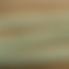 Lot de 5 metres ruban ameublement vert 12 mm