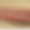 Lot de 5 metres ruban ameublement bordeaux  12 mm
