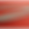 Lot de 5 metres ruban ameublement  gris perlé garnit lurex argent 12 mm