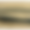 Lot de 5 metres ruban ameublement noir lurex or 12 mm