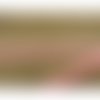 Lot de 5 metres ruban ameublement bois de rose 12 mm