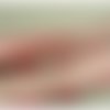 Lot de 10 metres ruban ameublement rose soutenu 100% coton 35 mm