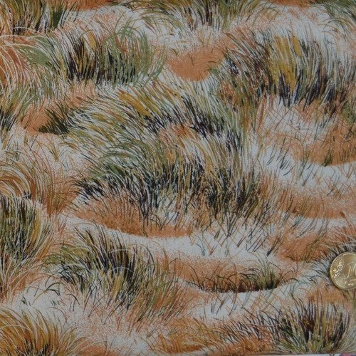 Coupon tissu patchwork 30cm x 55cm la steppe de makower