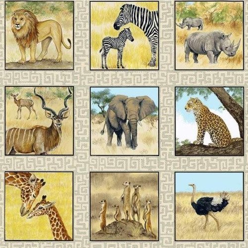 Vignettes le safari de makower