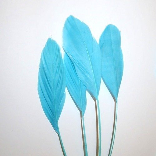 6 plumes bleues 15 cm