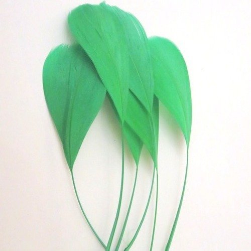 2 plumes vertes 15 cm